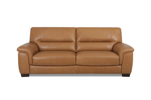 DeCoro sofa